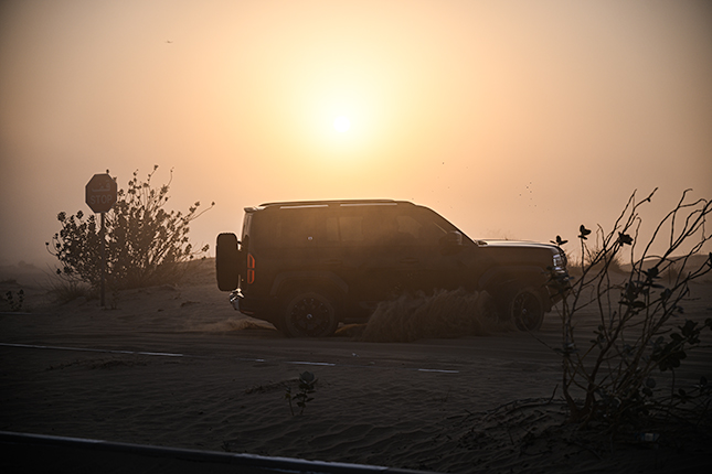 Illustration for this review section